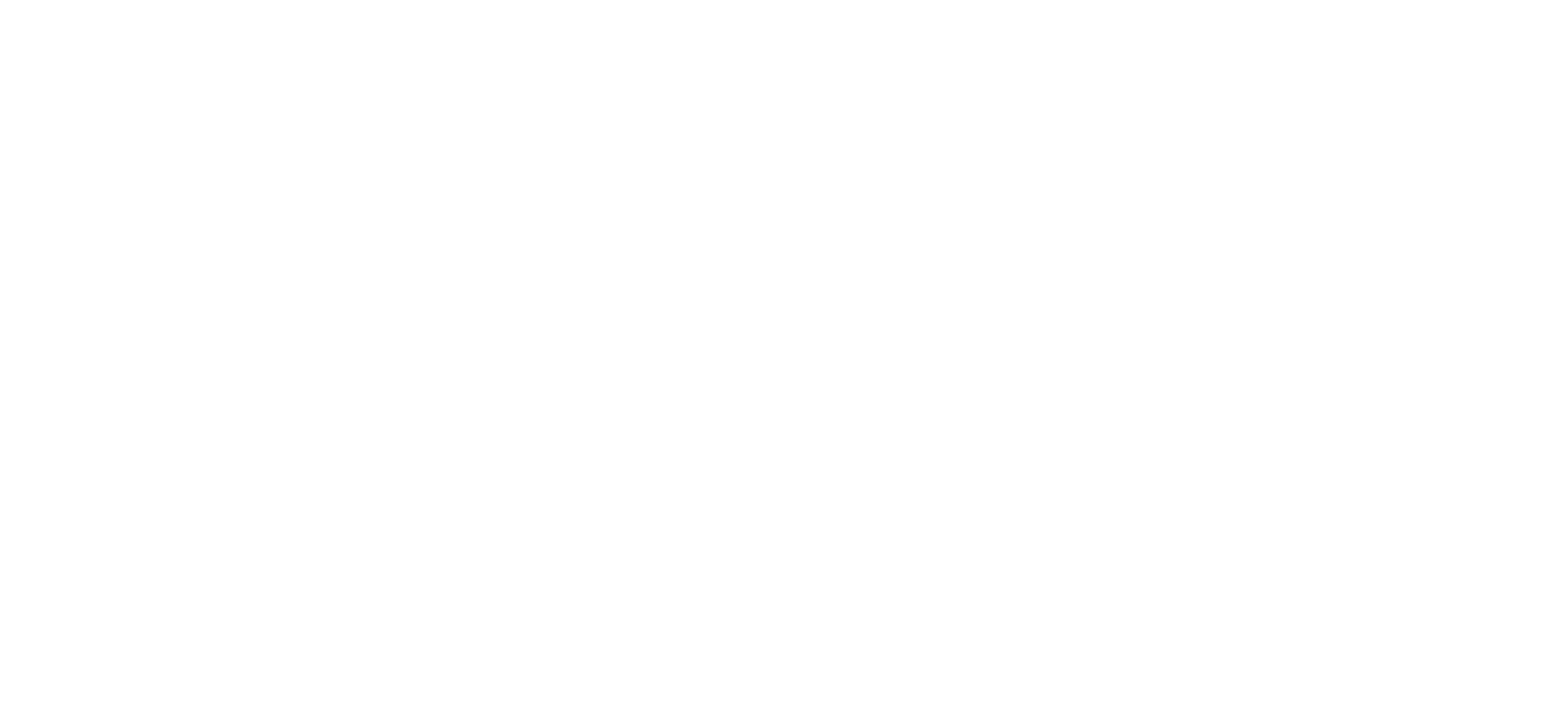 Nimbus DataVerity logo