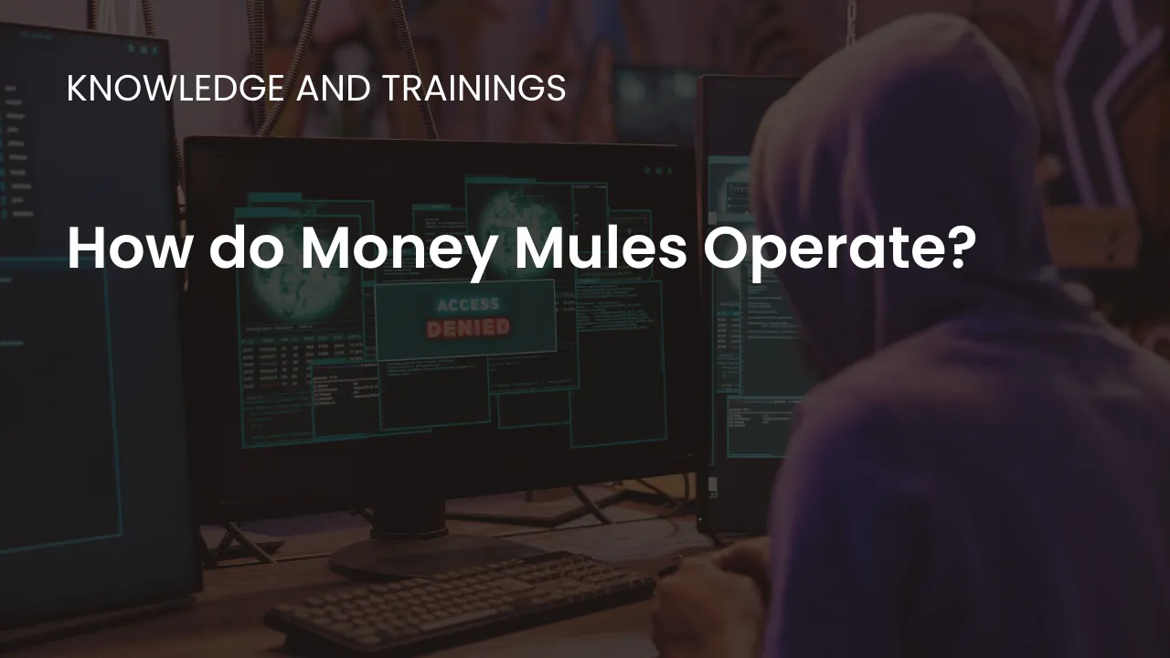 Understand the risks and consequences of being a money mule, and how to avoid becoming involved in financial crimes.