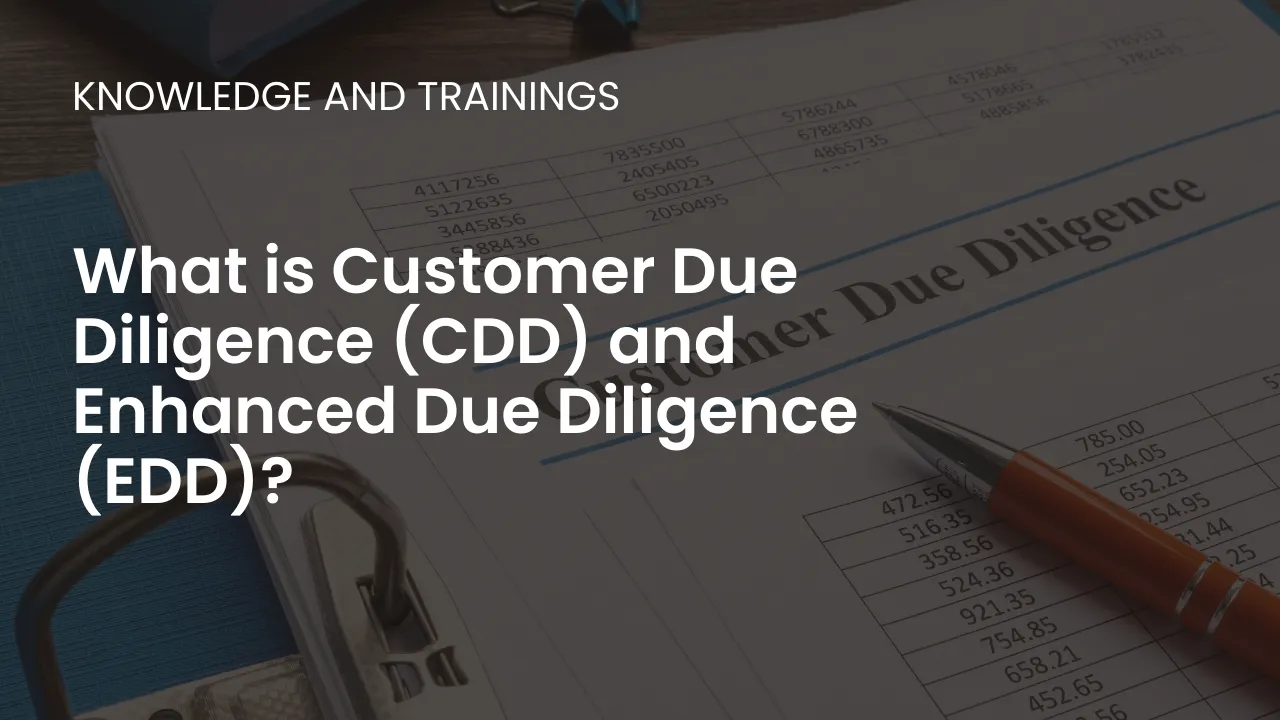 Understand how CDD and EDD processes help financial institutions manage risks and maintain compliance with regulations.