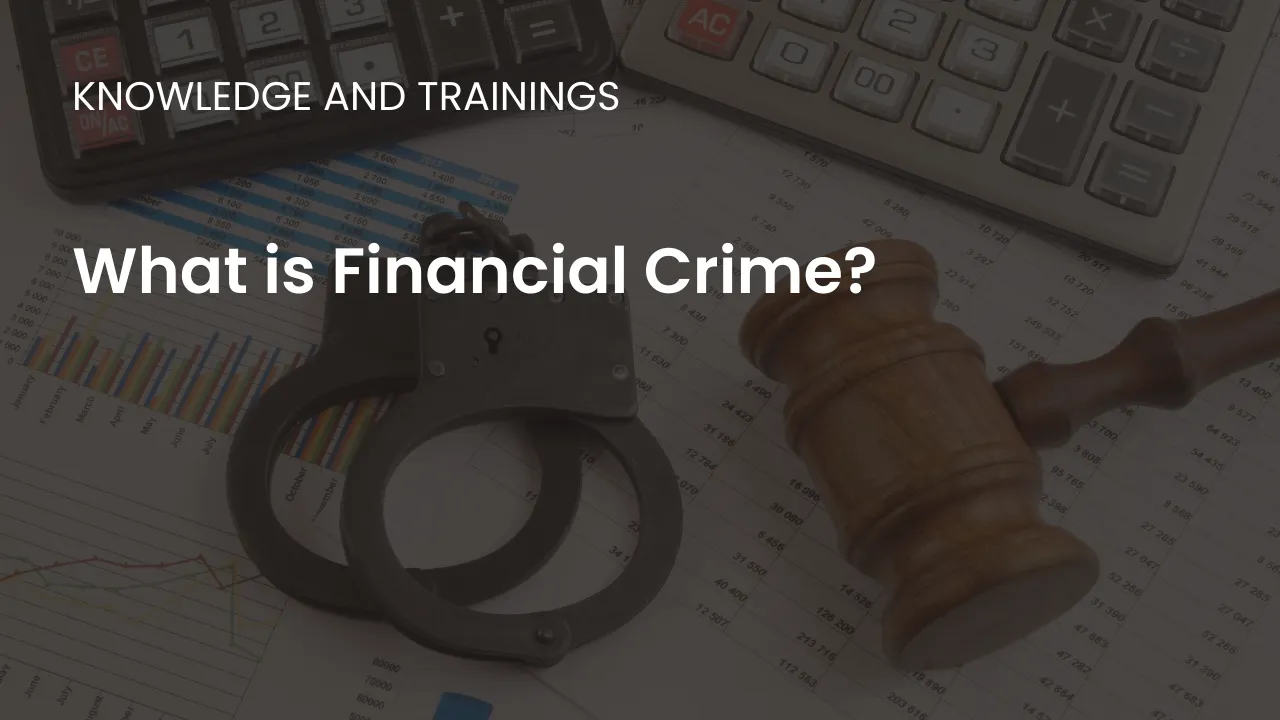 Explore various financial crimes, their impact on the global economy, and the strategies used to prevent and detect them.