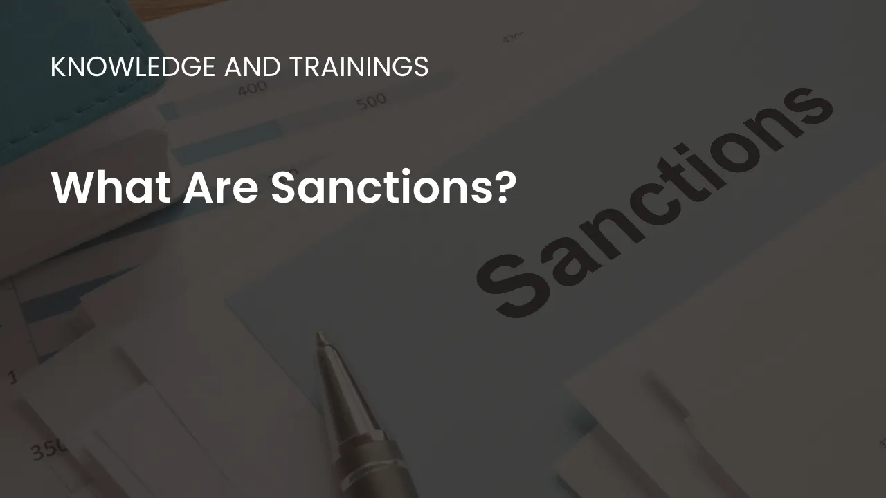 Learn about the different types of sanctions used in international relations to achieve security and compliance goals.