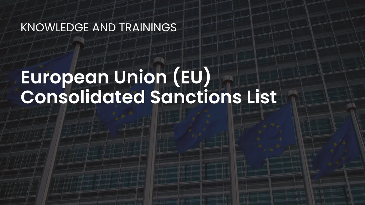 Explore how the EU's sanctions list targets violators of international law, promoting peace, security, and human rights.