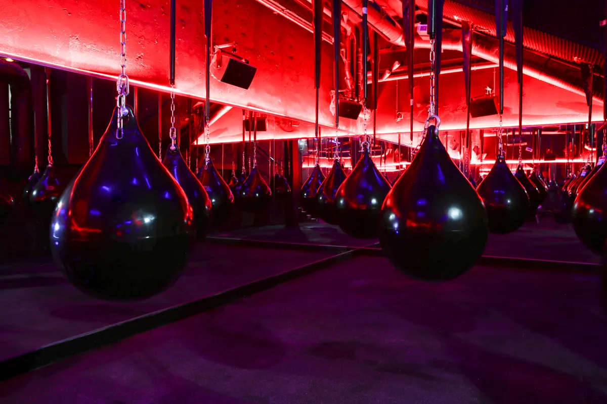Le Cercle Boxing Lyon