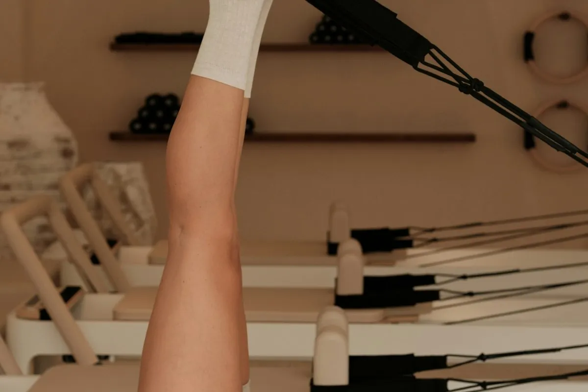 Stripd Studio