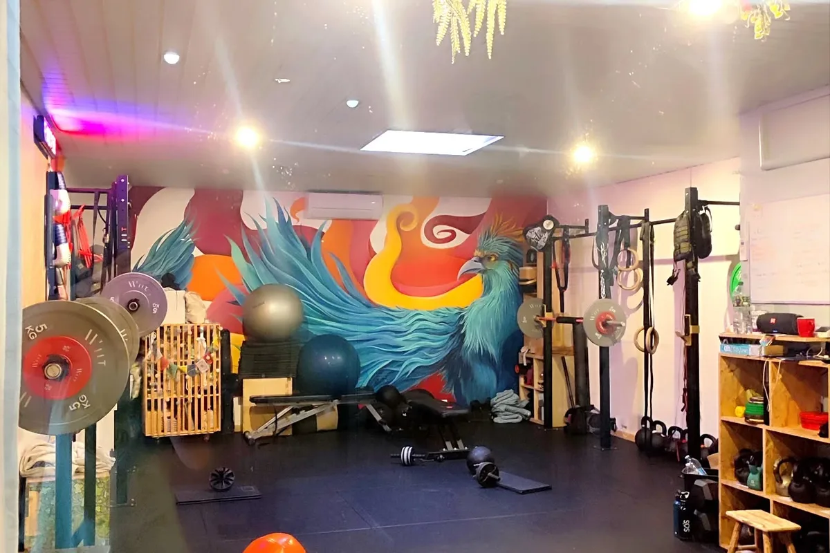 Phoenix Zone