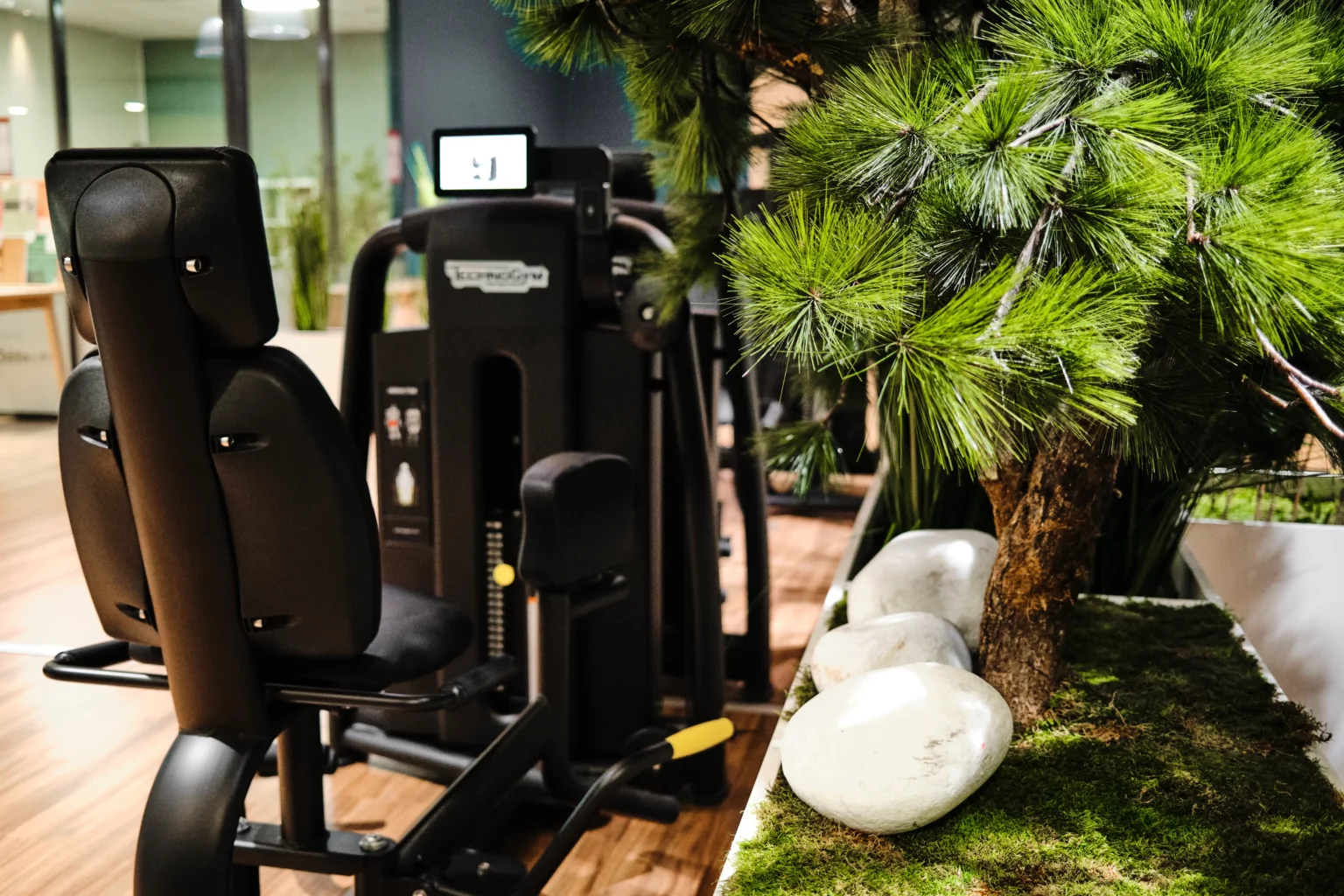 Musculation au Mans — Elancia Le Mans Centre