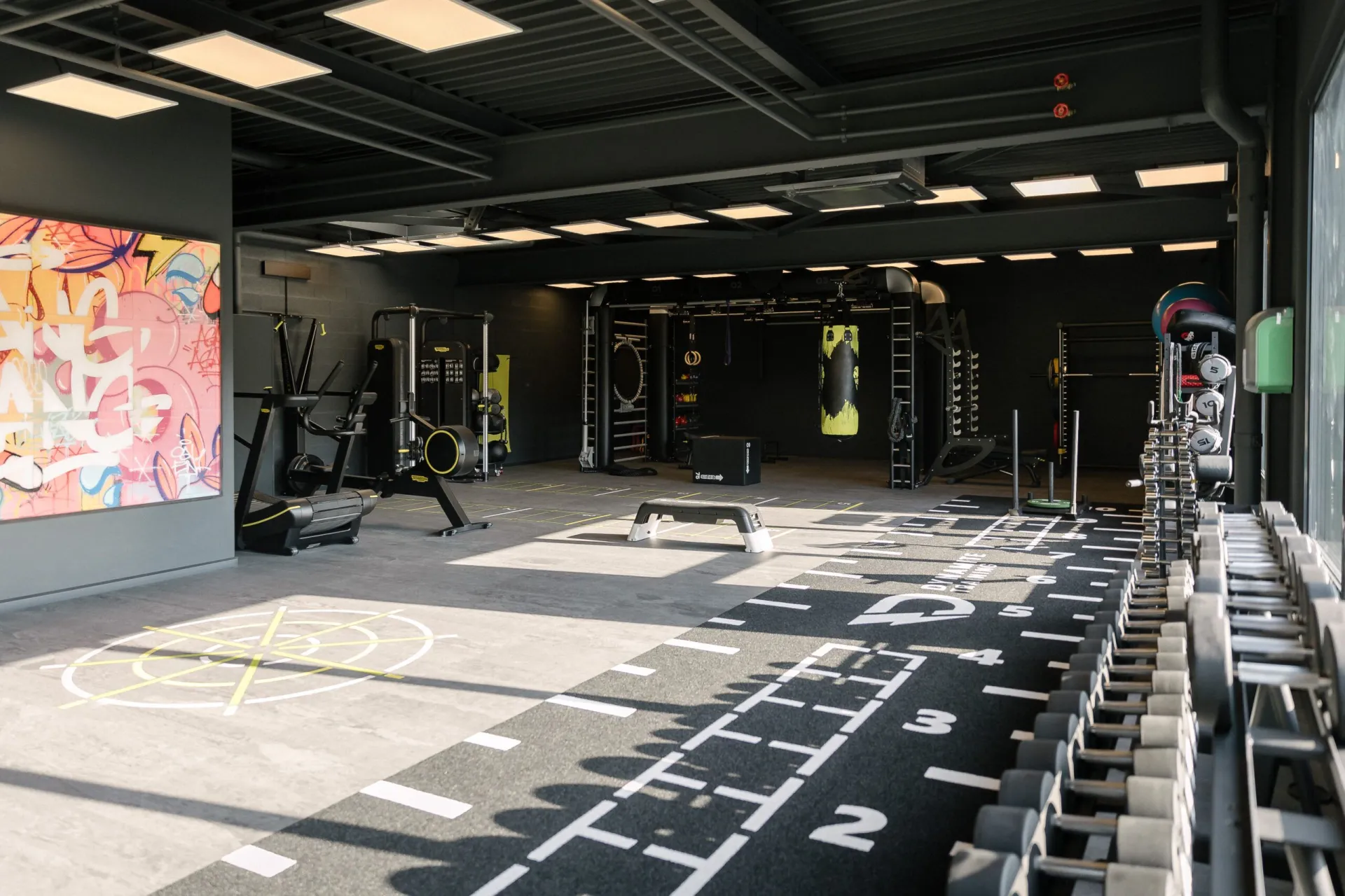 Dynamite Training