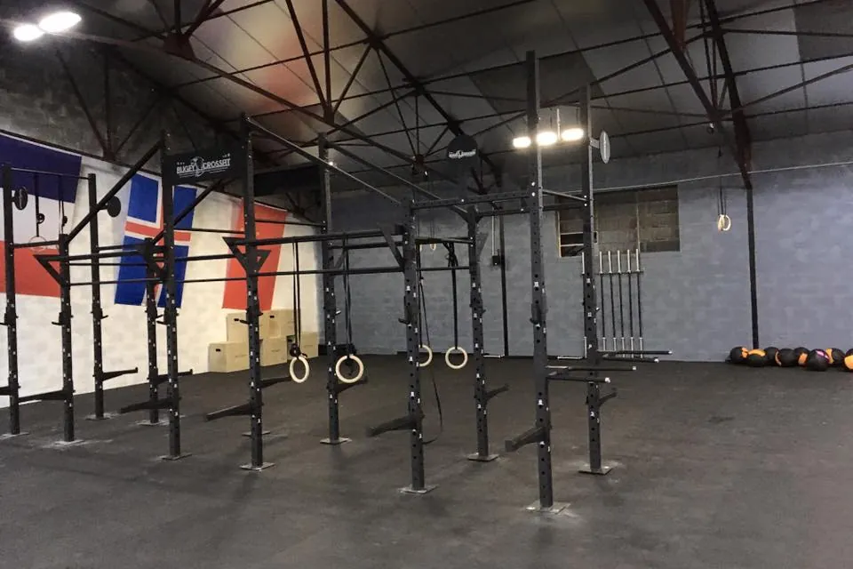 CrossFit à Ambérieu-en-Bugey — Aëtos CrossFit : rig, anneaux et espace d'entraînement