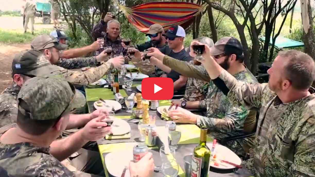 Dove hunting stories