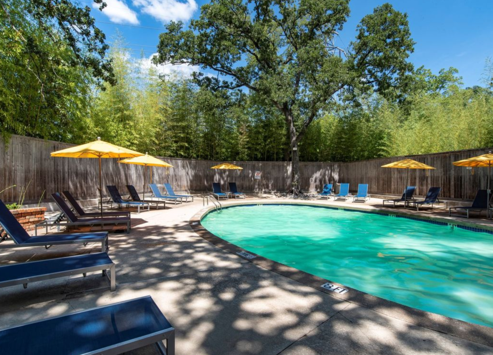 Pool surrounded by trees and lounge chairs