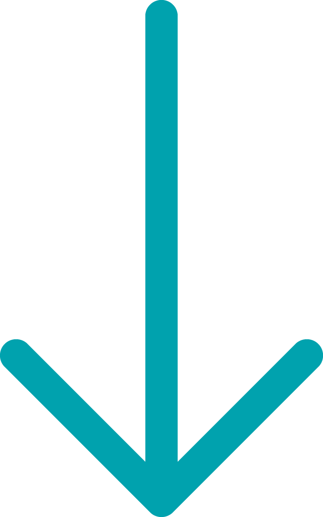 arrow-down-long Icon