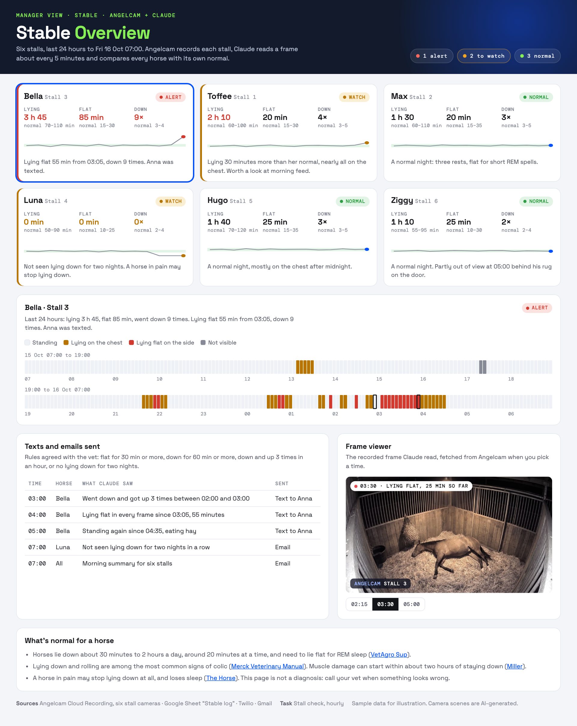Illustrative example report with sample data