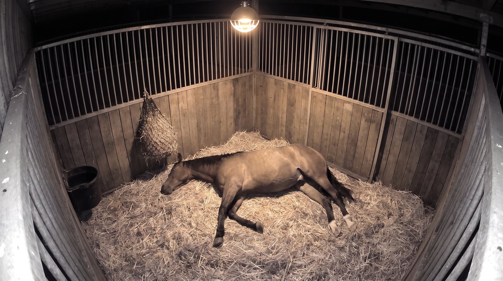 Illustrative stable camera view