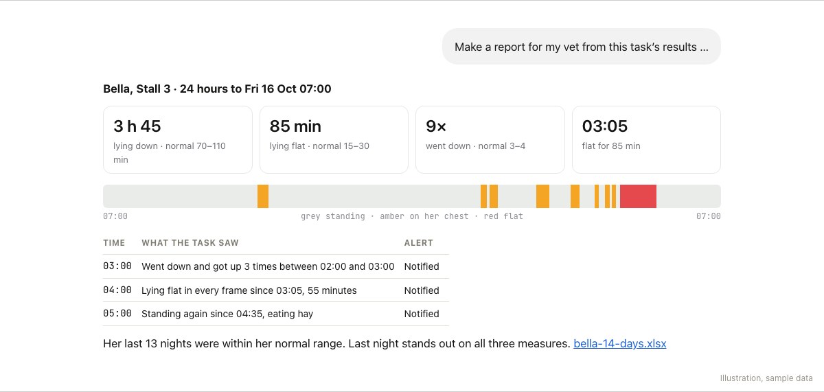 ChatGPT’s report for Bella, Stall 3, 24 hours to Fri 16 Oct 07:00: 3 h 45 lying down against a normal of 70 to 110 minutes, 85 minutes flat against 15 to 30, down 9 times against 3 to 4, flat from 03:05; a 24-hour strip coloured by position; the three alerts; and a 14-day spreadsheet.