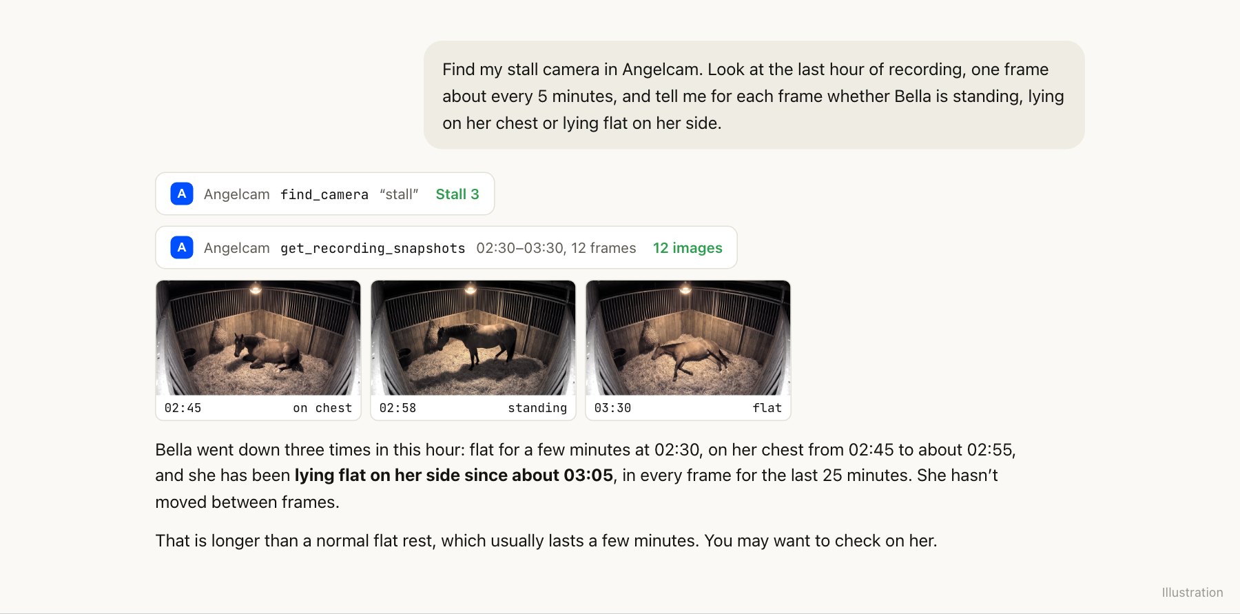 A Claude chat: Claude reviews 12 recorded frames from Stall 3 and reports that Bella went down three times in the hour and has been lying flat since 03:05.