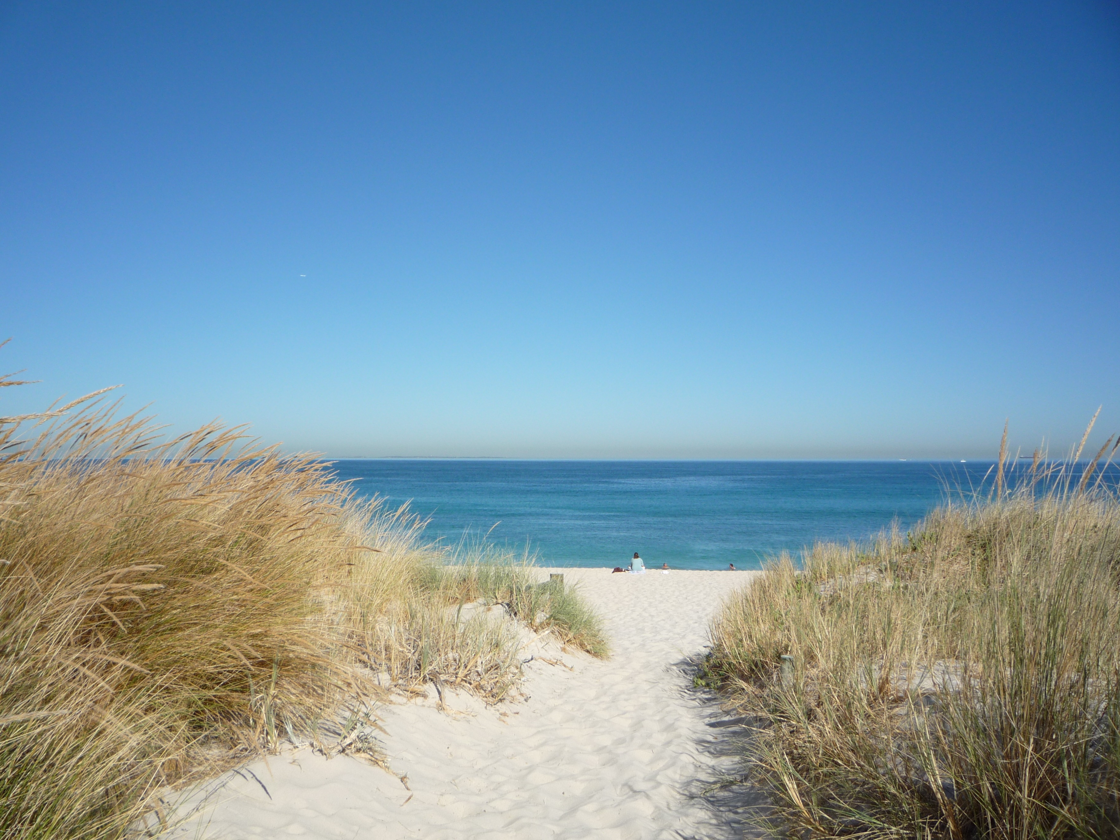 Picture of a beach scene