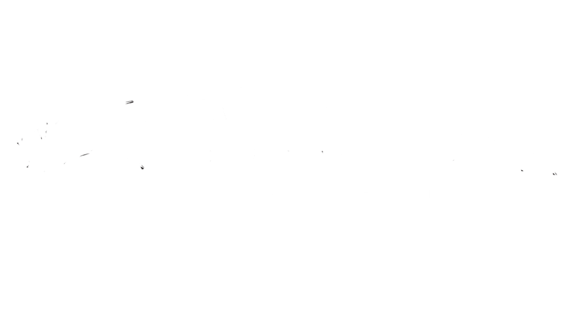 PTN Logo