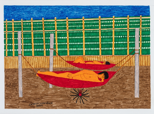 Joseca Yanomami - Urihi mãripraɨ – Sonhar a terra-floresta