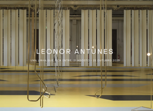 Leonor Antunes - Uma linha que fica entre