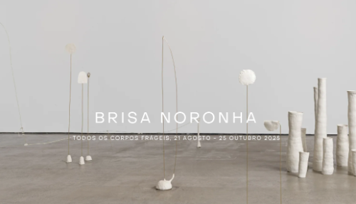 Brisa Noronha - Todos os corpos frágeis