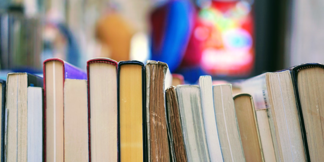 Pescaria de Livros
