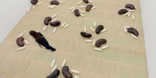 Iván Argote: Arroz com feijão