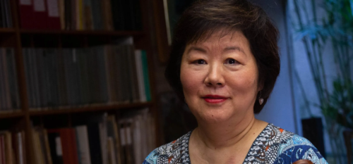 Elisa Fukuda, a mestra brasileira do violino