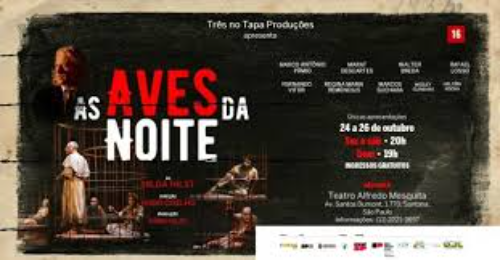 As Aves Da Noite