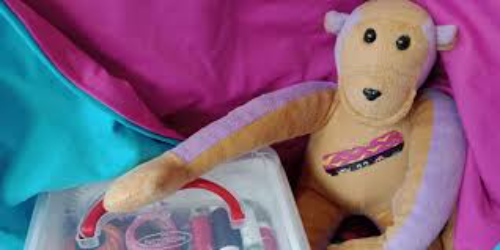 Pronto-Socorro para Bichos de Pelúcia e Bonecos de Pano