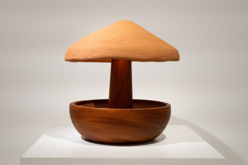 Matéria.Design: A Terra