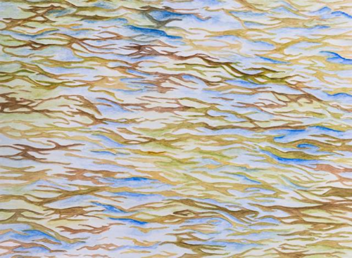 Entre o desenho e a pintura - Caru Duprat