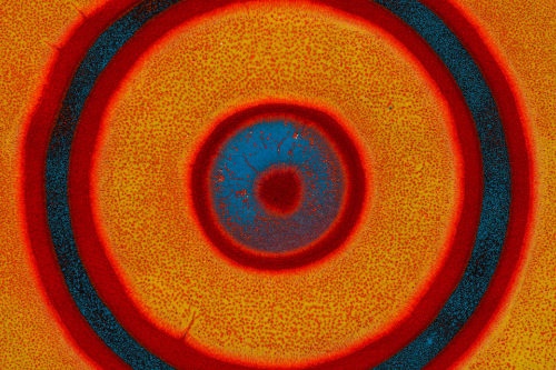 Material Affinities and Tropical Dreams