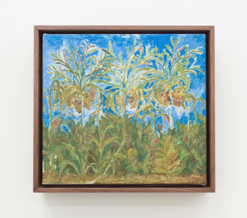 Zuilla - Bandeiras Verdes