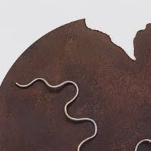 Caio Rosa - Rios falam, Rios Cantam