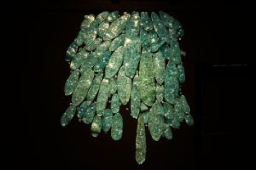 Léo Battistelli: água viva