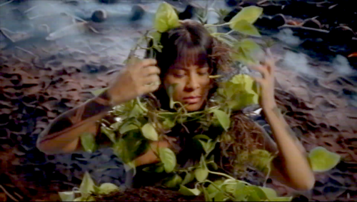 “O JARDIM” (Trilogia das Plantas 2)