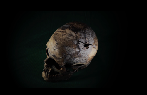 Sala de Vídeo: Maya Watanabe