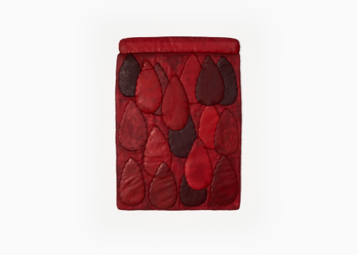 Célio Braga - Cuidado com a Pintura