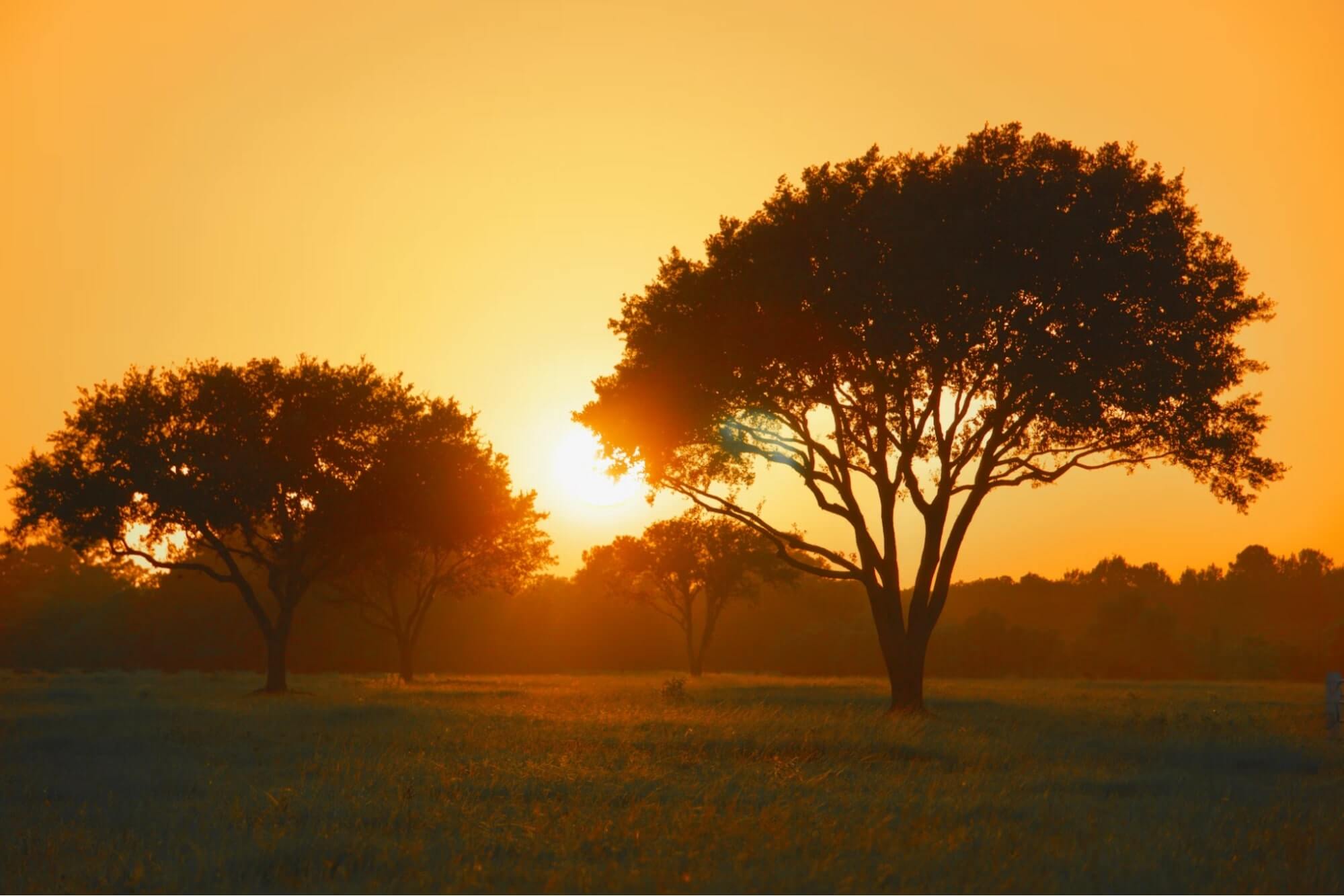 Post-Production Film Incentives - Where to Look - Wrapbook - Sunset
