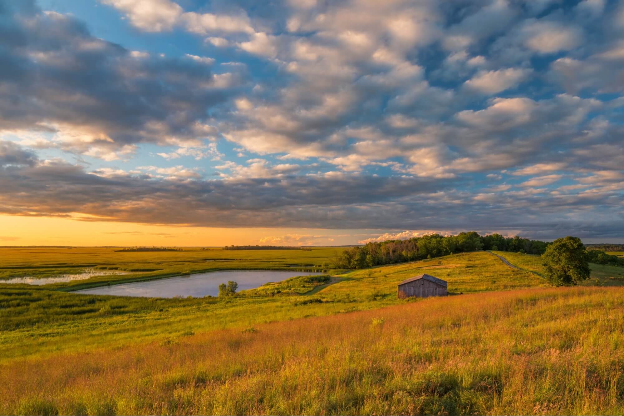 Navigating the Wisconsin Film Tax Credit - Wrapbook - Fields