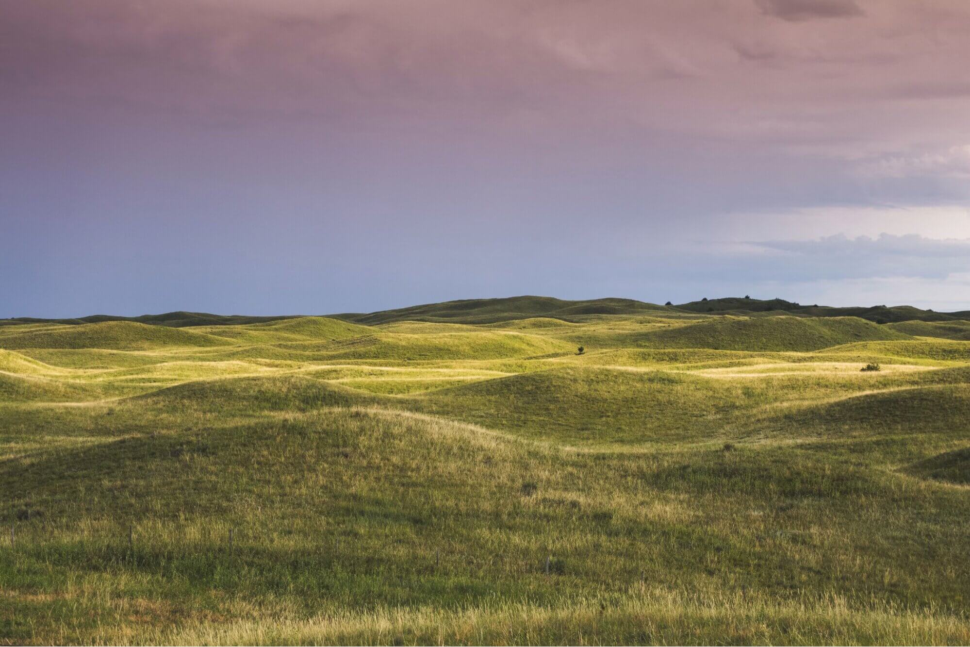Navigating Nebraska Film Incentives - Wrapbook - Fields