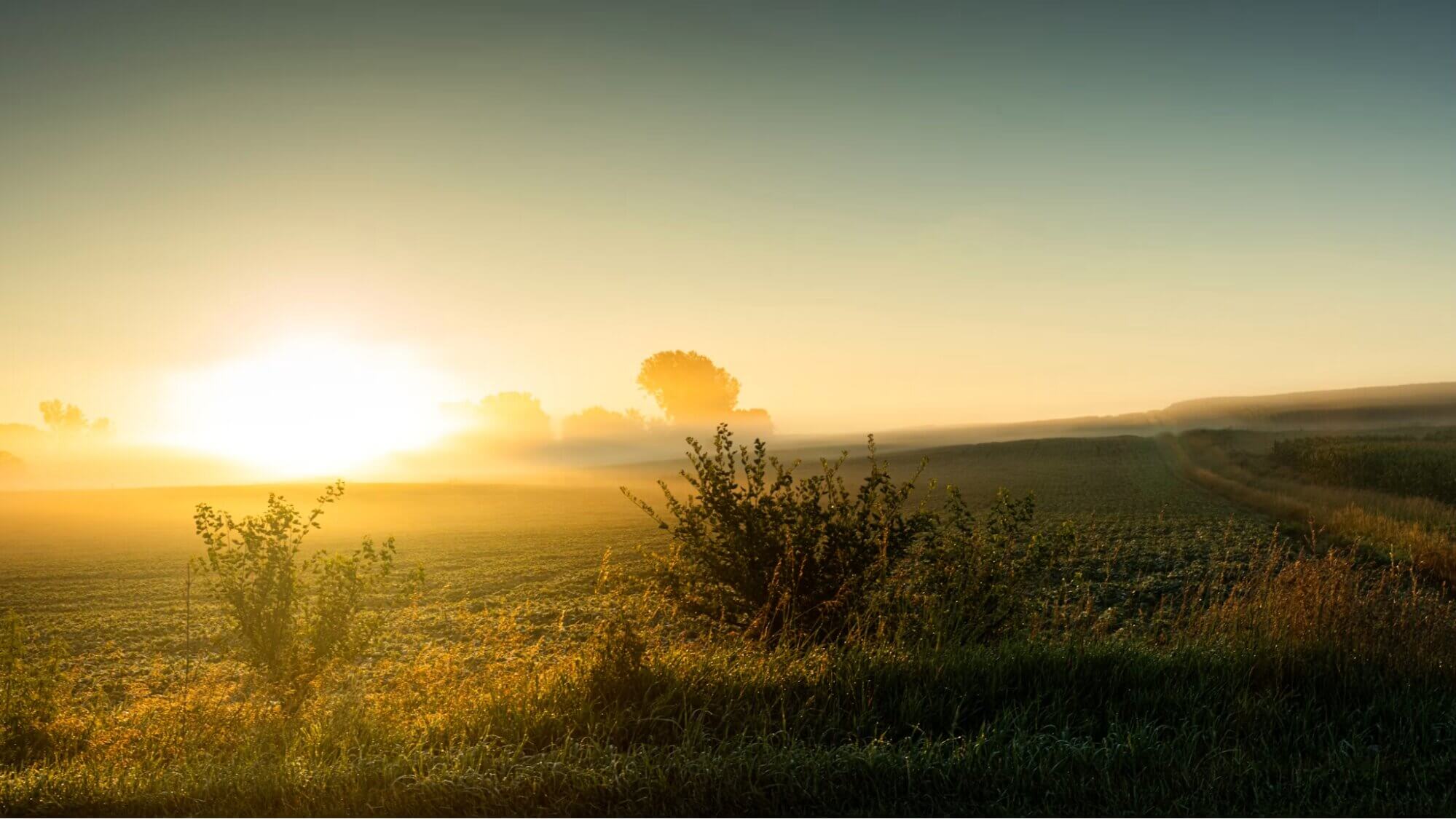 Decoding Iowa Film Incentives - Wrapbook - Sunrise Over Field
