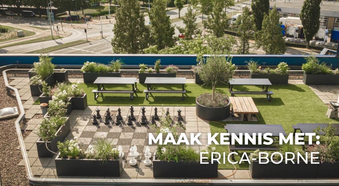 Dakterras van Campus Hambaken in Den Bosch, waar je tussen het werken door even kan ontspannen. 