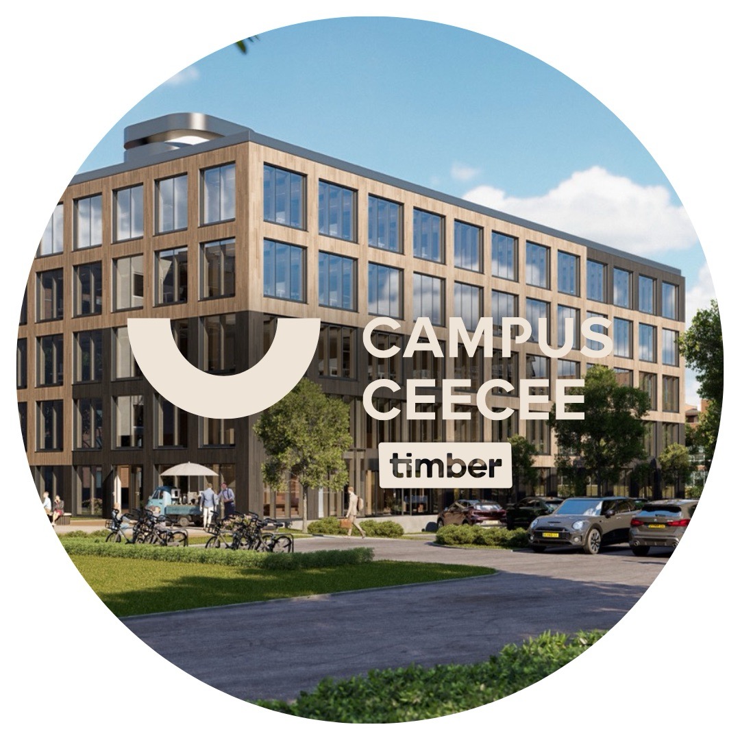 Campus CeeCee Timber