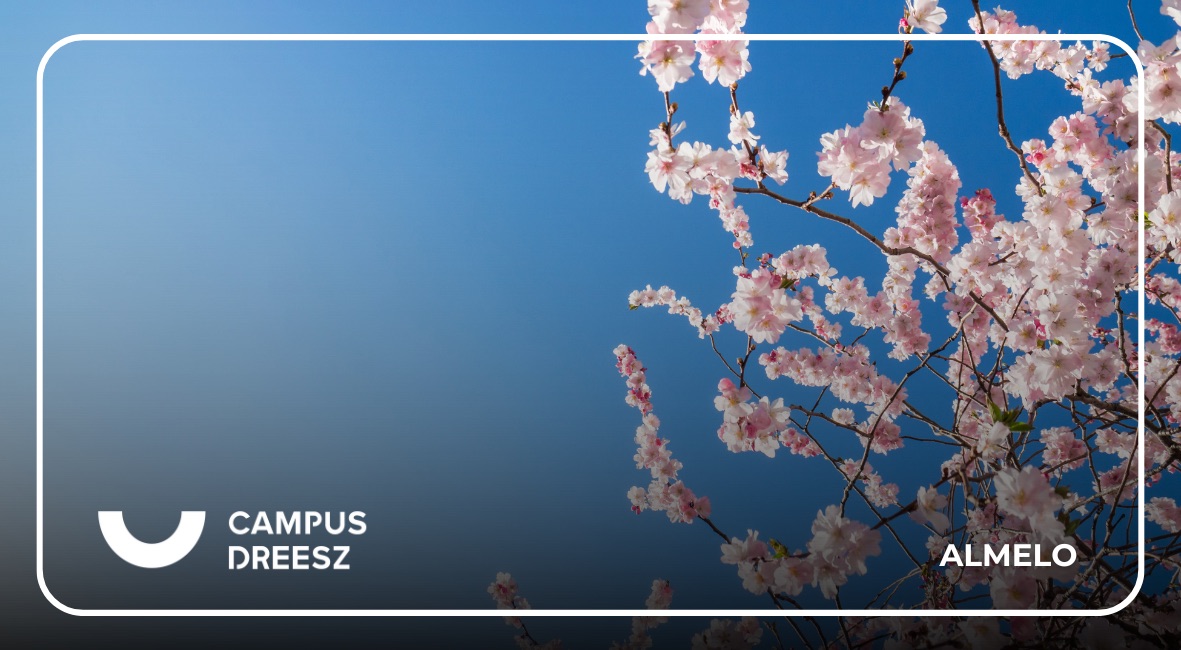 Lentesfeer met bloesem passend bij een moment bij Campus Dreesz in Almelo.