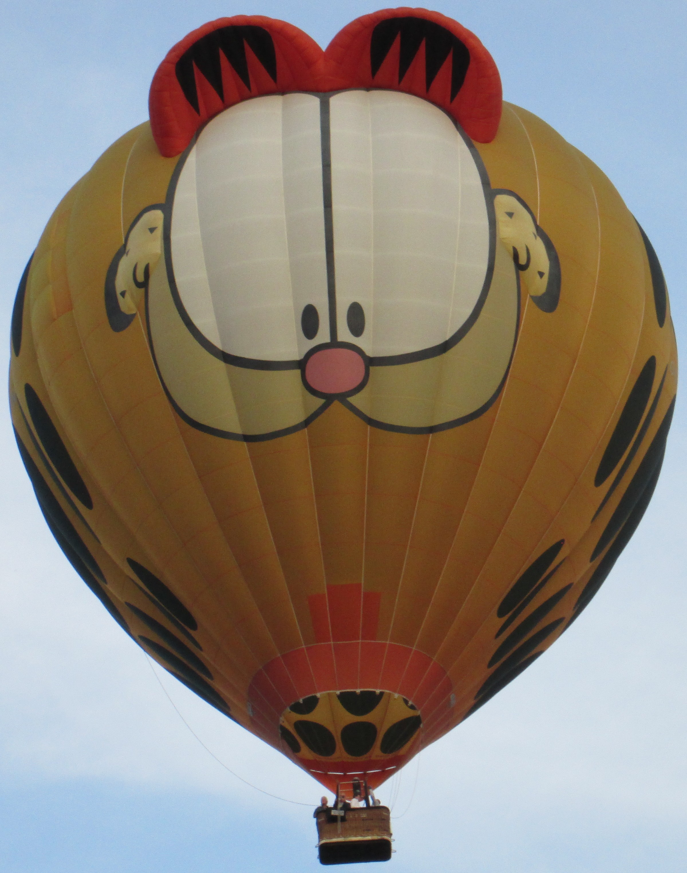 OO-BGN