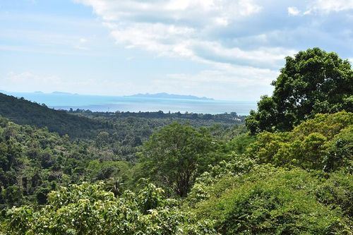 Tree top tour – photo 5