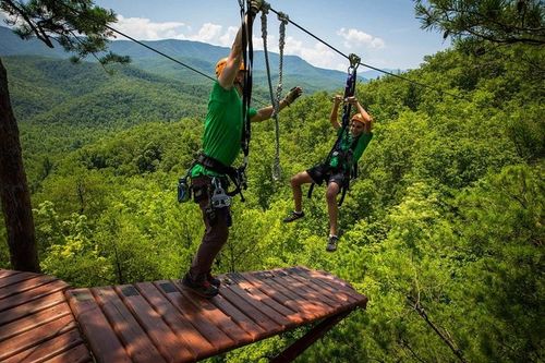 Tree top tour – Koh Samui