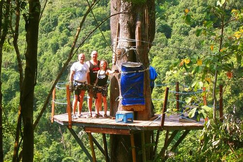 Tree top tour – photo 2