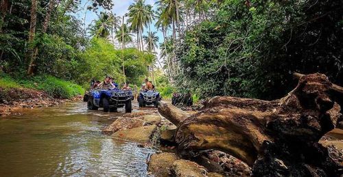 Atv – photo 2